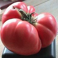 Tomat Malinowe